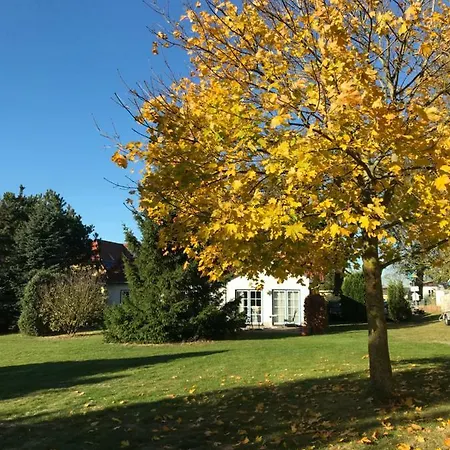 Ostsee Salzhaff Διαμέρισμα
