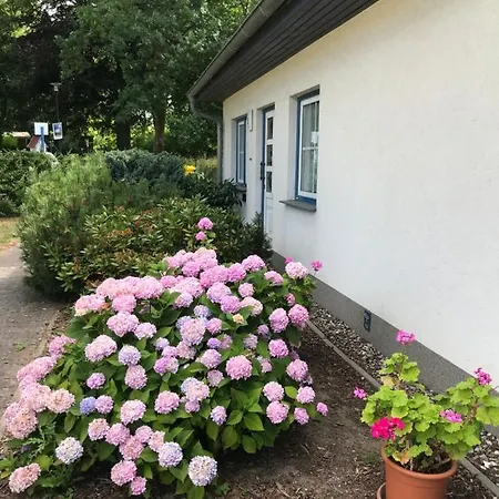 Ostsee Salzhaff