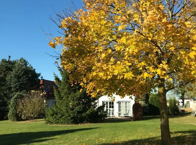 Ostsee Salzhaff Apartment